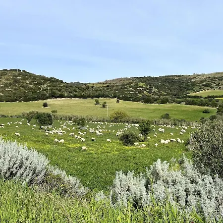 House In Rural Sardinia Semesterbostad Collinas