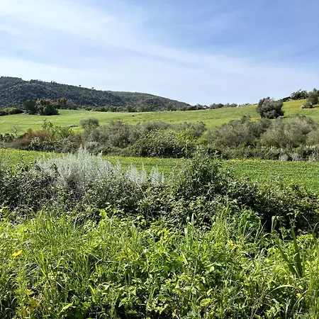 Semesterbostad House In Rural Sardinia Collinas