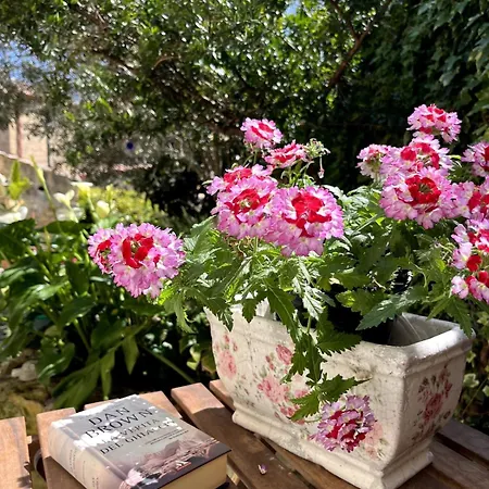 Domu Antiga Sardegna-collinas Semesterbostad